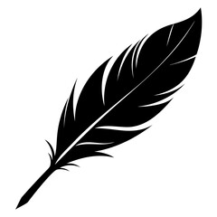 Poster - Black Feather Silhouette Vector Illustration – High-Quality Design on White or Transparent Background