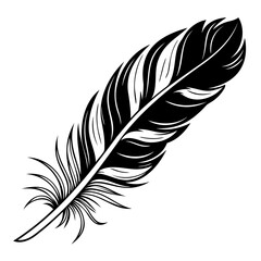 Poster - black feather silhouette vector illustration isolated on white or transparent background