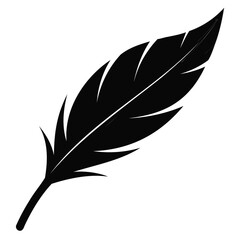 Poster - Black Feather Silhouette Vector Illustration – High-Quality Design on White or Transparent Background