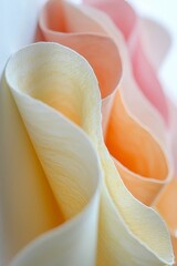Poster - Vertical Macro of colorful curved sheets of paper.