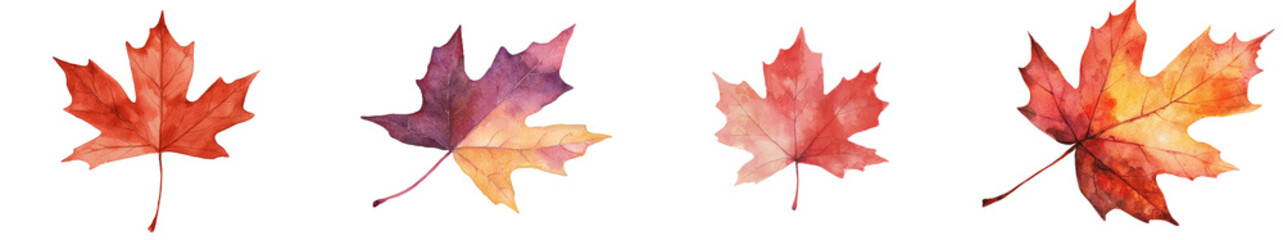 Poster - The illustration features a watercolor maple leaf in autumn colors, making it a perfect choice for designs centered around fall and nature, and it is isolated on a transparent background, available