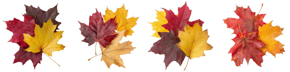 Poster - Colorful autumn leaves are piled up to showcase the vibrant hues of fall foliage, including various shades of red, yellow, and orange, all isolated on a transparent background, png