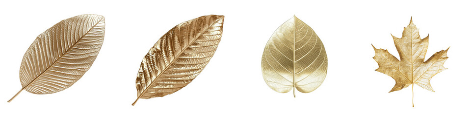 Poster - Golden Leaf With Textured Surface, revealing subtle nuances and the warm shades of autumn, isolated on a transparent background and saved as png