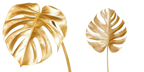 Poster - With its split structure, the Golden Monstera Leaf displays vibrant color and a unique shape, isolated on a transparent background and available as a png