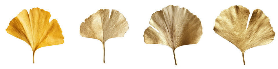Poster - A Golden Ginkgo Leaf With Veins is displayed, accentuating its textured appearance and autumn colors, with a transparent background and in png format