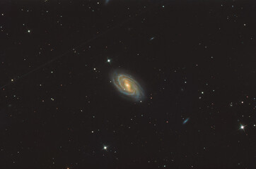 Wall Mural - messier 109 galaxy in ursa major constellation, taken with amateur telescope..