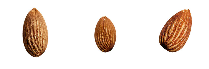 Poster - A detailed almond nut, isolated on white to display its texture and natural brown color, is also offered as a png isolated on a transparent background