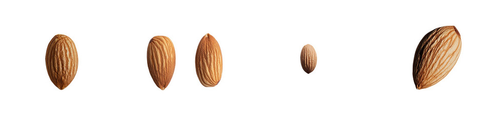 Poster - A single almond nut is showcased with its natural brown color and detailed texture, standing out against a transparent background in png
