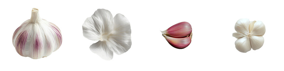 Poster - A whole garlic bulb with a smooth surface is shown, highlighting the natural texture of its papery skin and its light color, all isolated on a transparent background in png format