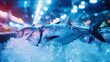 © PENJAN  PANTANA - Fresh blackfin tuna displayed on crushed ice at a seafood market, glistening under bright lights