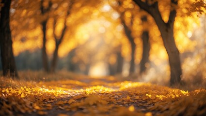 Poster - Bokeh background in orange autumn hues from a nature forest, out of focus. Blurred design element. Natural yellow tree backdrop with sun beams, defocused.