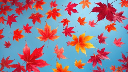 Poster - Vibrant and colorful autumn leaves gracefully falling through the air against a blue background. Zero gravity or levitation autumn concept.