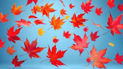 Poster - Colorful bright beautiful autumn leaves floating in the air, isolated against a blue background. Autumn concept of zero gravity or levitation.