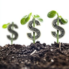 Poster - Growing Wealth: Sprouting Dollar Signs Symbolize Financial Growth and Investment Opportunities in Fertile Ground.