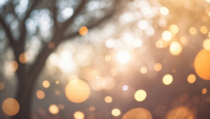 Poster - Blurred nature backdrop of a tree viewed upward with sun flare and filter in autumn season hues.