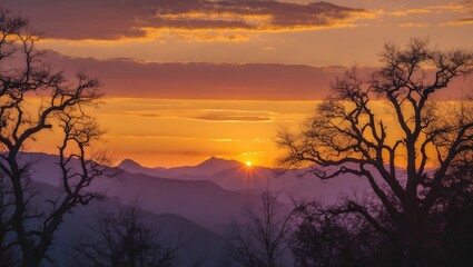 Poster - Golden Sunset Above Mountains and Trees with Dramatic Clouds