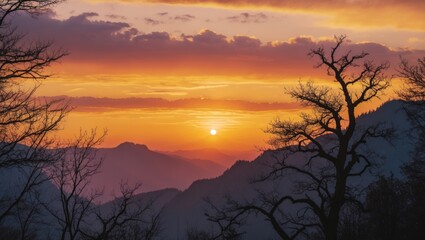 Poster - Golden Sunset Behind Mountains and Trees with Dramatic Clouds
