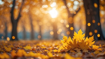 Poster - Autumn leaves illuminated by the sun. Blurred background.