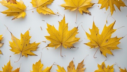 Poster - Autumn golden leaves swirling in the wind. Fall leaves set against a white background.