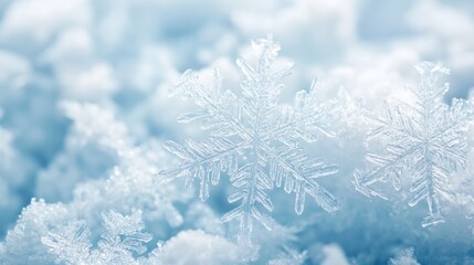 Poster - Sparkling snowflakes rest gracefully atop a soft, icy layer of snow, capturing the ethereal beauty of winter's chill as sunlight dances through individual crystal patterns