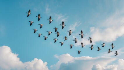 Wall Mural - Flock of birds flying in a V shape formation across a stunning sky. Abstract travel and emigration theme. Searching for a better place to live. Follow the expert motif.