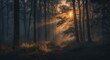 © AIArtistry - Sunlit woodland landscape in a dark forest.