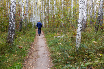 Wall Mural - A man is walking through a forest with trees and leaves