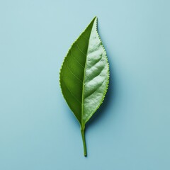 Poster - Vibrant green tea leaf on a serene blue background capturing freshness nature and organic beauty in a minimalist style with soft lighting