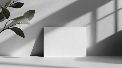 Poster - A serene workspace captures soft shadows on a textured surface, highlighting a blank canvas surrounded by gentle greenery. Natural light adds warmth to the calm atmosphere