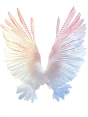 Poster - ethereal wings with soft pastel hues on white background creating a sense of lightness and freedom p