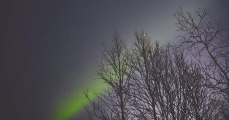 Wall Mural - aurora borealis, polar lights with milky way stars. timelapse video.