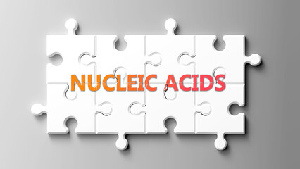 Poster - Nucleic Acids complex like a puzzle - pictured as word nucleic acids on a puzzle pieces to show that nucleic acids is complex and needs cooperating pieces that fit together. ,3d illustration