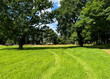 © derek oldfield - Sunlight filters through the lush green canopy on an expansive grass field. The serene landscape features towering trees leading into a dense forest, with a clear blue sky above in, Gomersal, UK