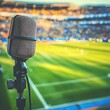 © Jaya - Stadium microphone, soccer game broadcast