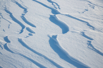 Wall Mural - beautiful winter background with snowy ground. natural snow texture. wind sculpted patterns on snow 
