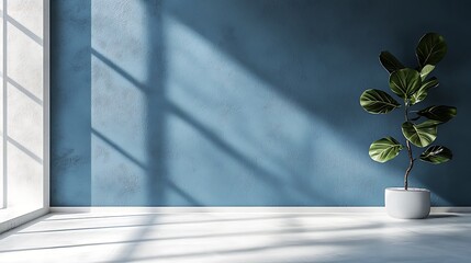 Poster - Minimalist Interior Design Sunlight Plant Blue Wall