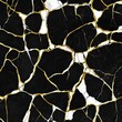 © Alokya - Cracked black and white marble with gold veins.
