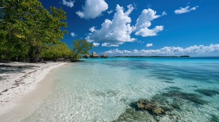 Poster - A beautiful beach with clear blue water and a few palm trees