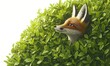 © ari - Red Fox Peeking From Green Bush