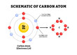 © vesvocrea - Carbon atom scheme diagram illustration vector. Labeled carbon atom, covalent bonds, shell electron. Caron atomic structure. Chemical education.