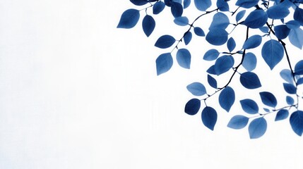 Poster - Blue Leaves on White Background