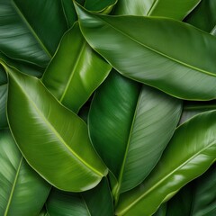 Aufkleber - Verdant Botanical Macro Ultra-Detailed Tropical Leaf Texture for Wellness Branding, Sustainable Design and Biophilic Marketing Narratives