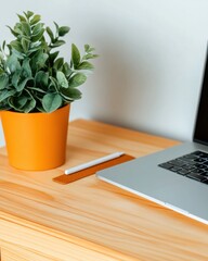 Poster - Minimalist Digital Workspace Vibrant Biophilic Home Office Design with Modern Productivity Tools - Wellness-Focused Remote Work Inspiration