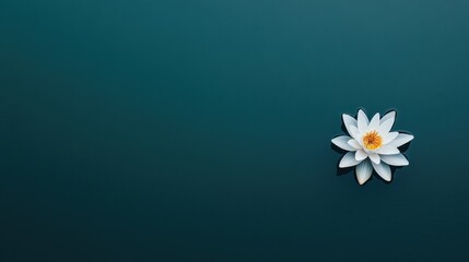 Poster - Minimalist Mindfulness Moment Ethereal Lotus Bloom in Deep Teal - Zen Wellness Concept for Digital Meditation and Holistic Brand Storytelling