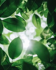Poster - Verdant Serenity Luminous Green Botanical Macro Exploring Biophilic Design, Wellness Aesthetics, and Natural Light Transparency