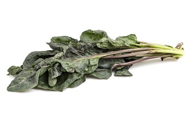 Poster - Fresh Bunch of Spinach Leaves Isolated on White Background
