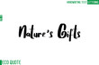 © Pleasant Mode - Nature's Gifts   Typography Text Hand Writing Calligraphy Of Eco Quote
