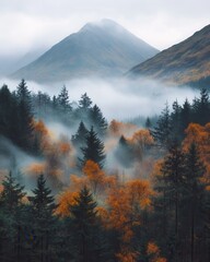 Wall Mural - misty autumnal forest landscape with mountain peaks and vibrant foliage in a serene and atmospheric 