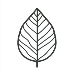 Poster - The leaf's shape is simple, with visible veins that create a minimalist and elegant design