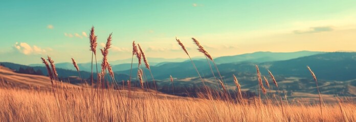 Poster - the panoramic background features a golden grunge style with a textured effect, making it ideal for 